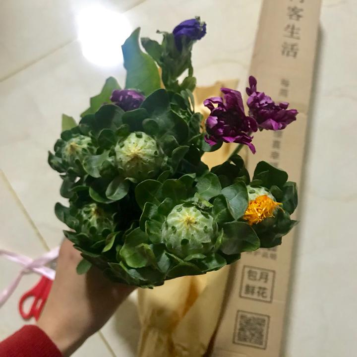 “beat365”北京有序推进低风险地区互联网上网服务营业(图1)