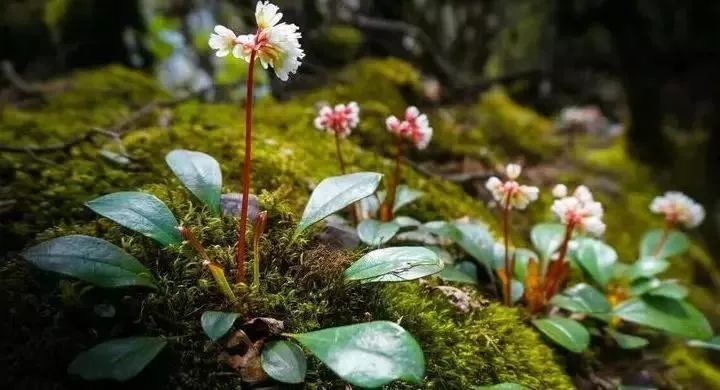 beat365-“咬定”价值股 部分机构近期已加仓(图2)